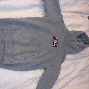 Aritzia hoodie